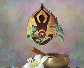 Terapias Integrativas